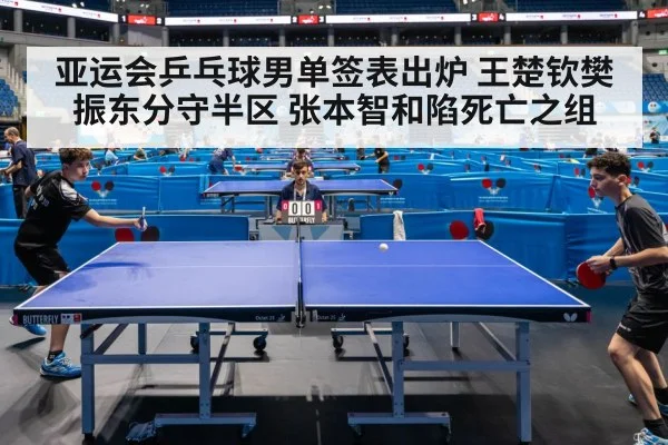 亚运会乒乓球男单签表出炉 王楚钦樊振东分守半区 张本智和陷死亡之组